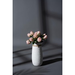 Beauty 2.78mx11m Seamless Background Paper (#200 Carbon Grey) Beauty 2.78mx11m Seamless Background Paper (#200 Carbon Grey)